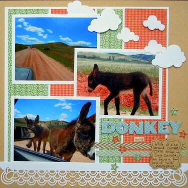 Donkey Family