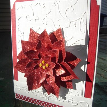 Poinsettia card