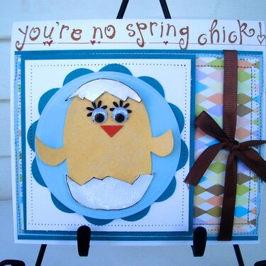 You&#039;re No Spring Chick!