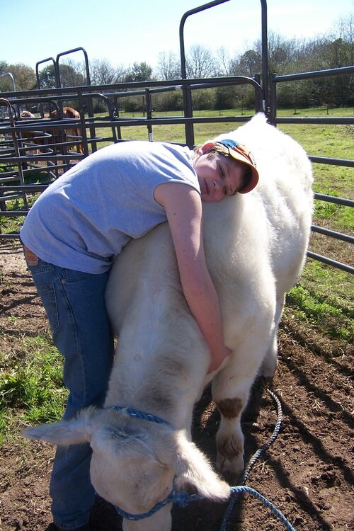 A boy and his steer