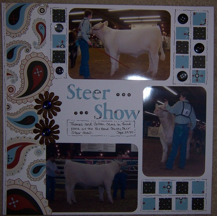Steer Show