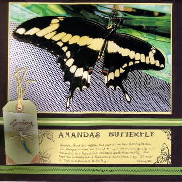 Amanda&#039;s Butterfly