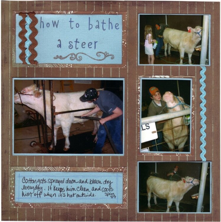 How to Bathe a Steer