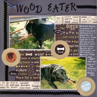 Wood Eater