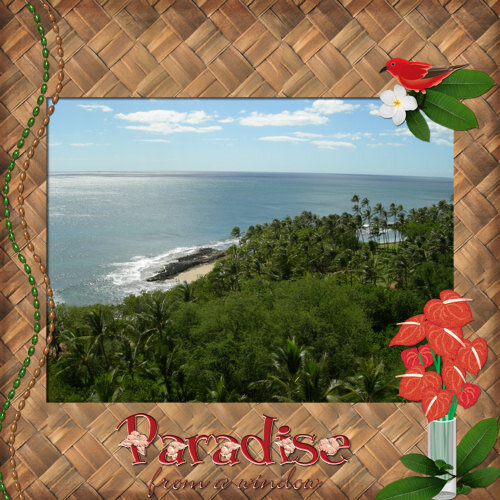 Hawaii-Paradise from a window