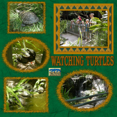 La Brea Tar Pits-Watching Turtles