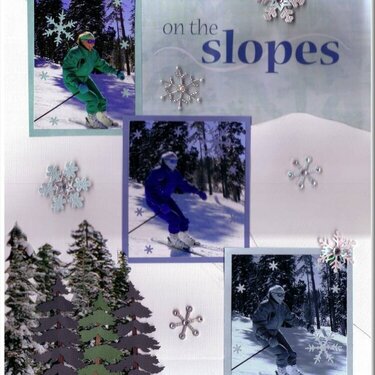 Gift-Ski Trip On the Slopes