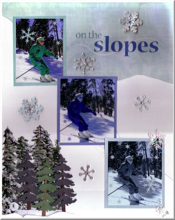 Gift-Ski Trip On the Slopes
