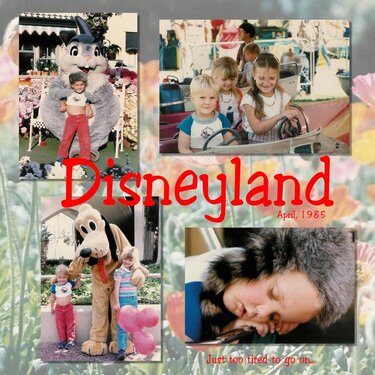 Disneyland 1985