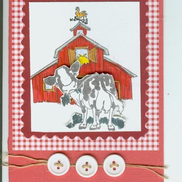 Holstein Cow and Barn