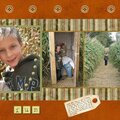 Corn Maze