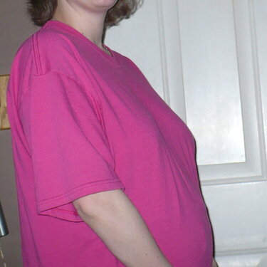 20 Weeks Pregnant With Twins