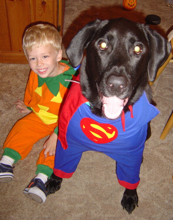 It&#039;s a Bird! It&#039;s a Plane! It&#039;s Superdog (and a little pumpkin)!