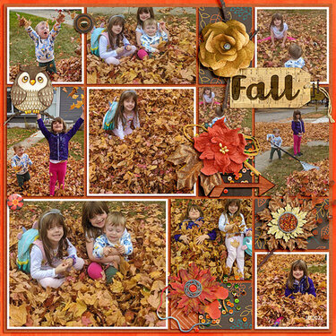 Fall Fun