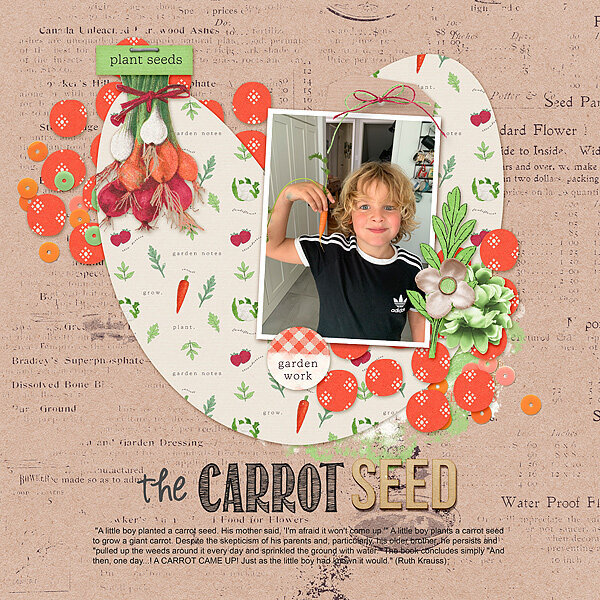 Carrot Seed