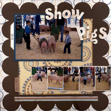 Show Pigs
