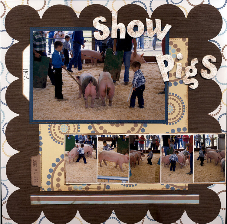 Show Pigs
