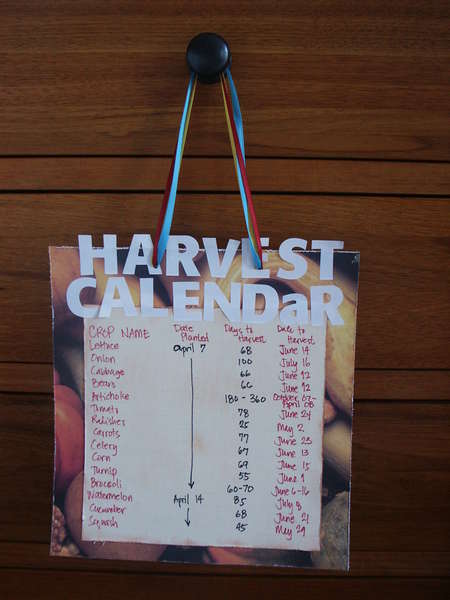 Harvest Calendar