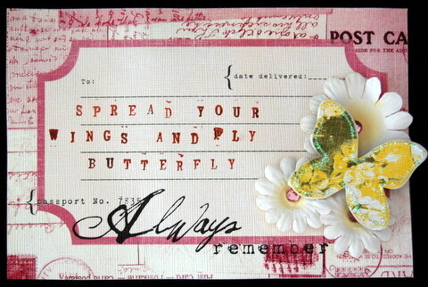 butterfly postcard (BMPS Letters from paradise)