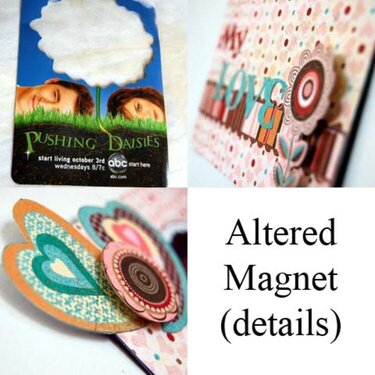 Altered Magnet (details)