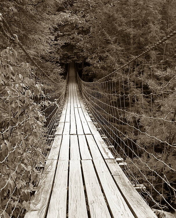 Bridge to anywhere