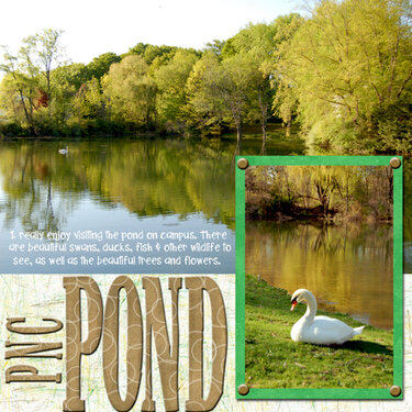 PNC Pond