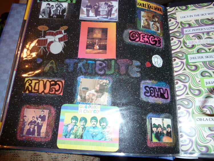 My Brothers Rock Concert and other events Memories gift Album