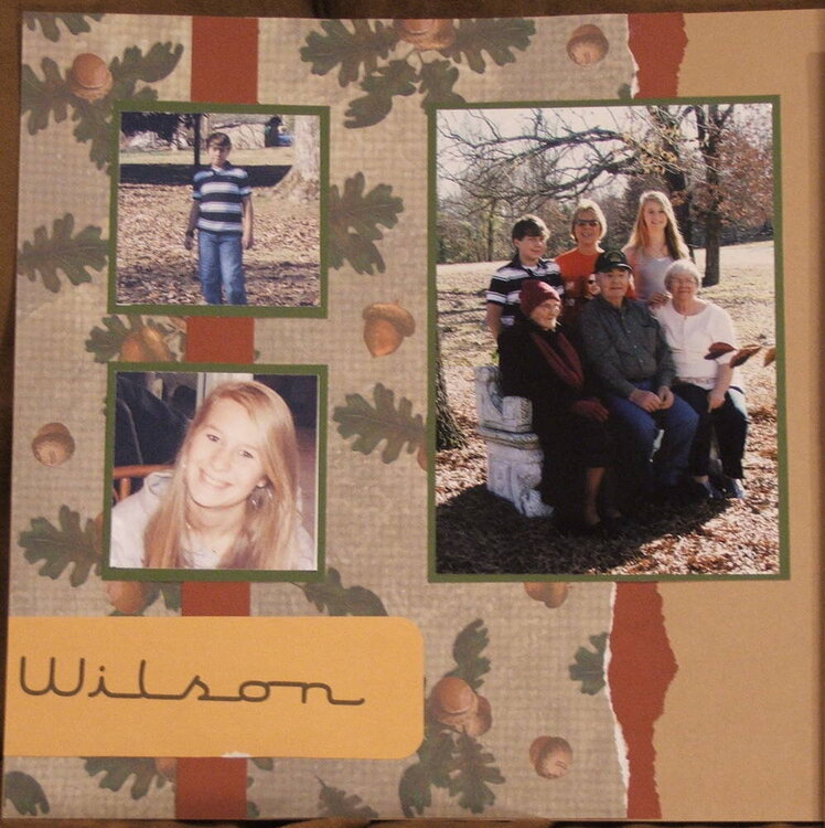 Family Tree Album-Wilson left