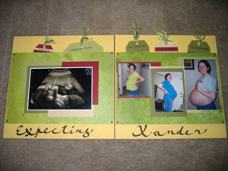Expecting Xander