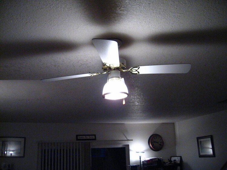 bonus2 - #5 ceiling fan