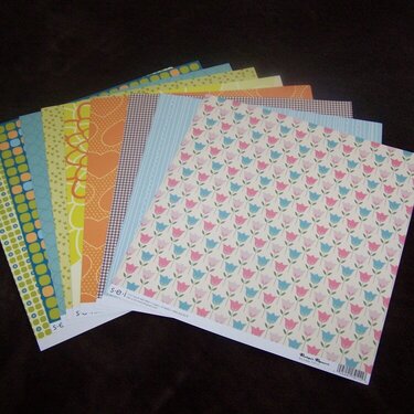 10 for $1 paper at the scrapbook expo