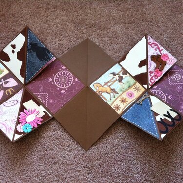 Inside of Western Accordian mini album