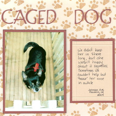 Caged Dog