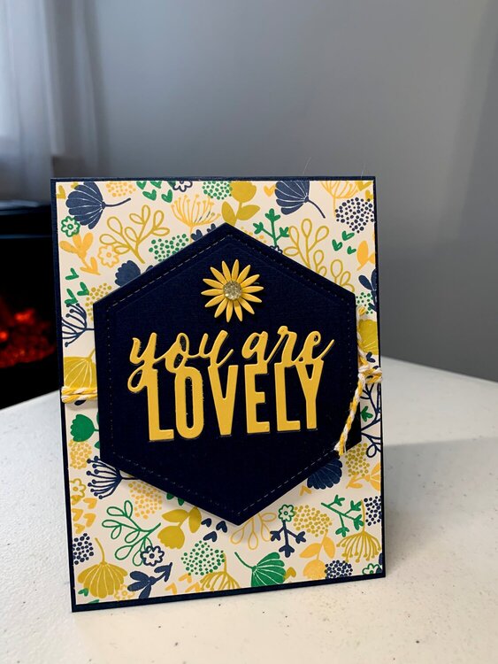 You are Lovely - Blue 