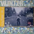 Walking in a Winter Wonderland #1