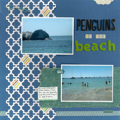 Penguins at the Beach