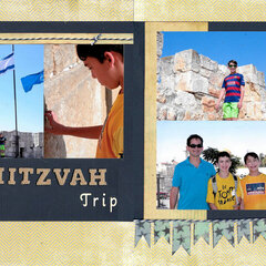 Mitzvah Trip