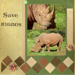 Save the Rhinos