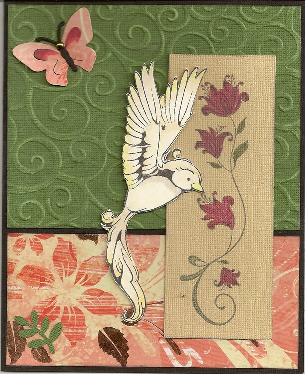 Bird Card