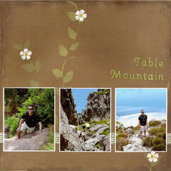 Table Mountain