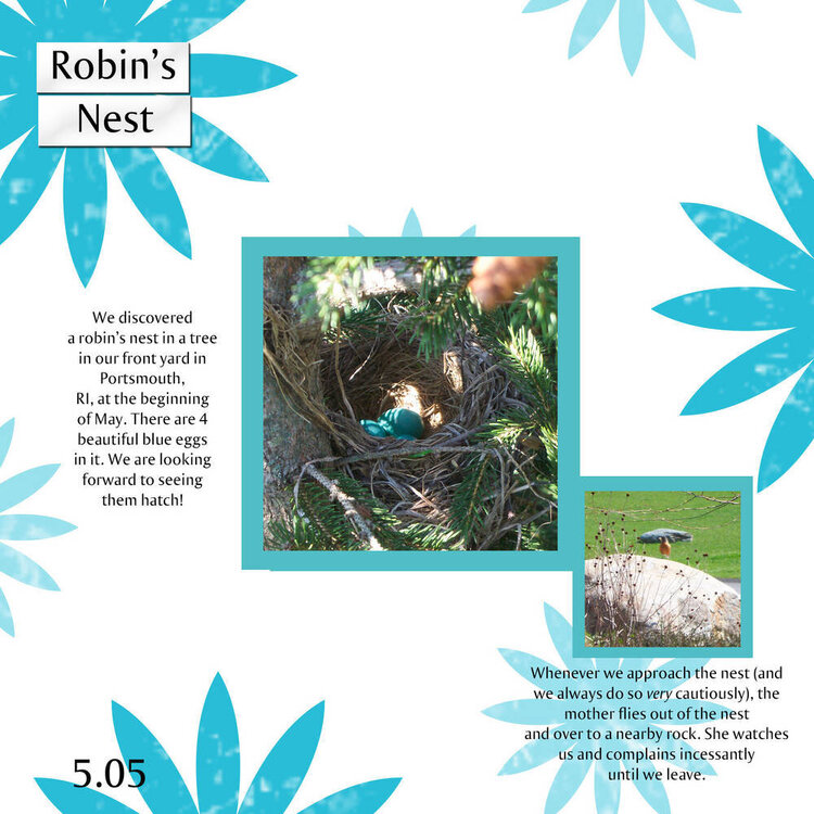 Robin&#039;s Nest