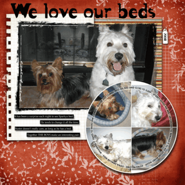 We love our beds