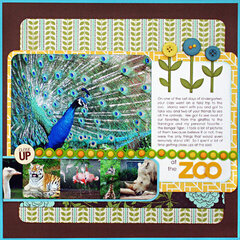 *Close Up at the Zoo* CK June '09