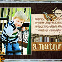 *A Natural* BG Newsletter Nov. '08