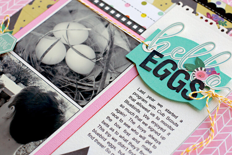 *Hello Eggs* Photo Play Paper BLOOM + SEEDS of KINDNESS