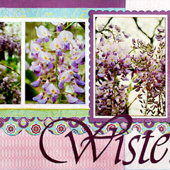 *Wisteria* BG Newsletter June '08