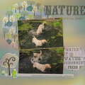 Nature Loving Dogs