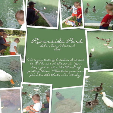 Riverside Park ducks