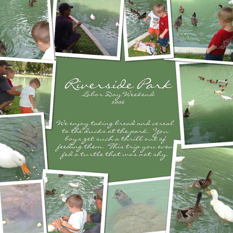 Riverside Park ducks