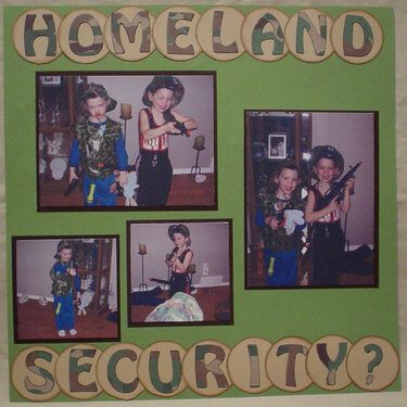 Homeland Security?